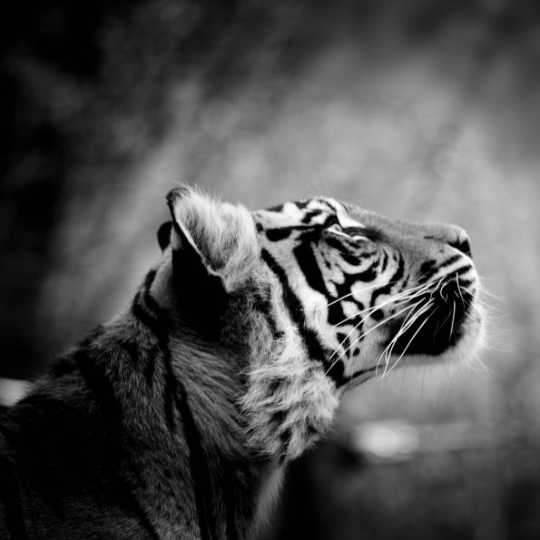 Transformation - Gouvernance - Culture