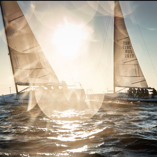 gouvernance - Crise - Leadership - Start-up - CEO -