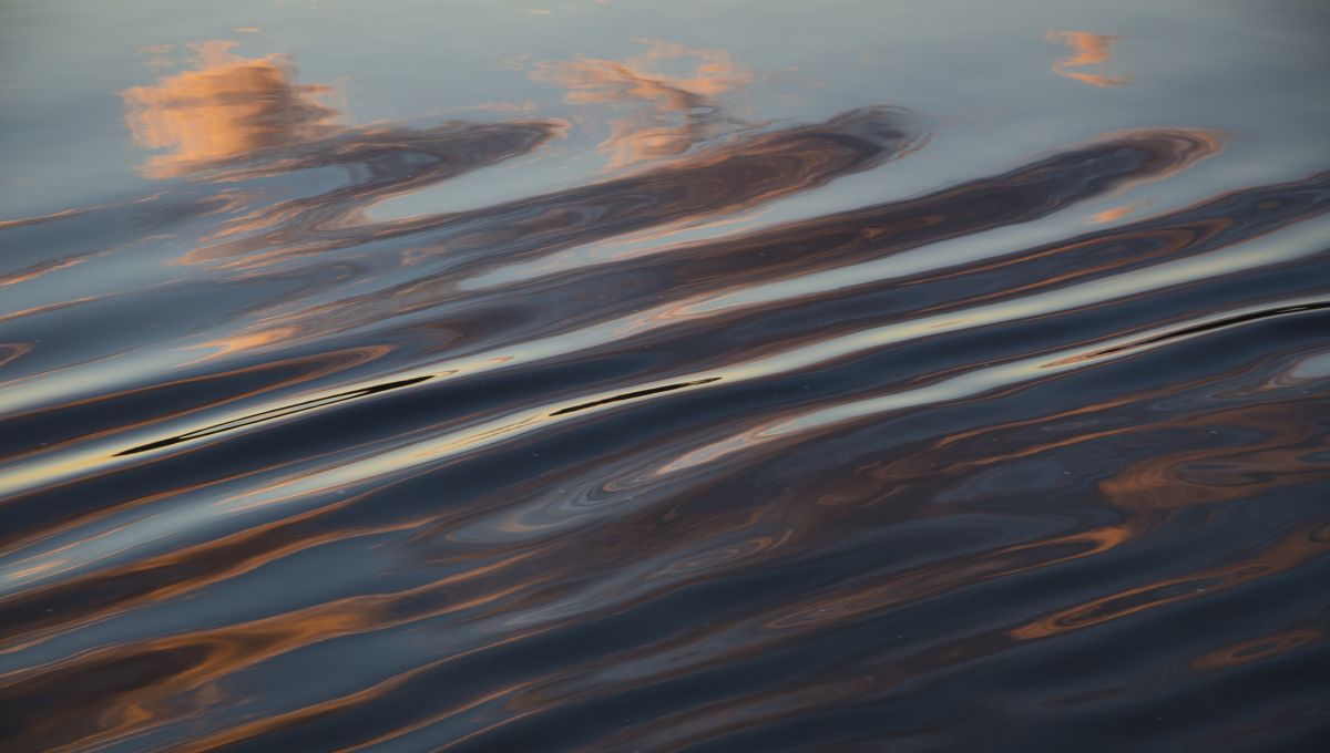 Points of You - Photographie - Photos - Photolangage - Communication - Regards - Creation - Transformation - Action - Dilemmes - Alignement -