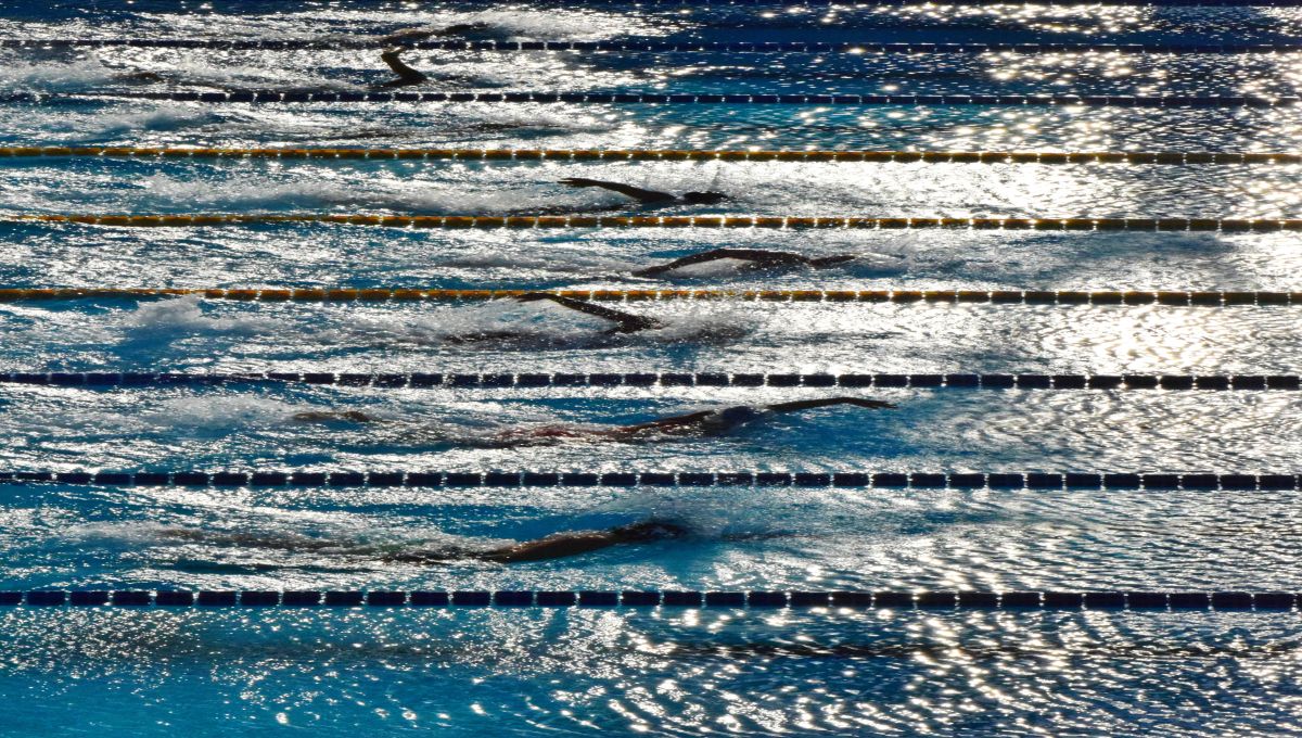 Gouvernance - Stratégie - Leadership - Transformation - Skills - Digital -