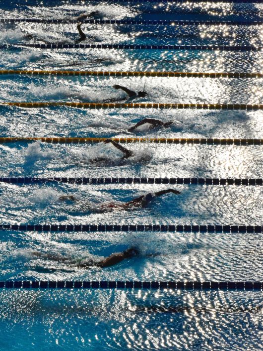 Gouvernance - Stratégie - Leadership - Transformation - Skills - Digital -